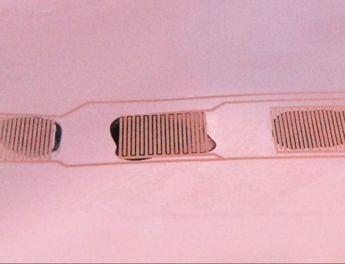 Packaging for the detection of quality and prediction of shelf-life