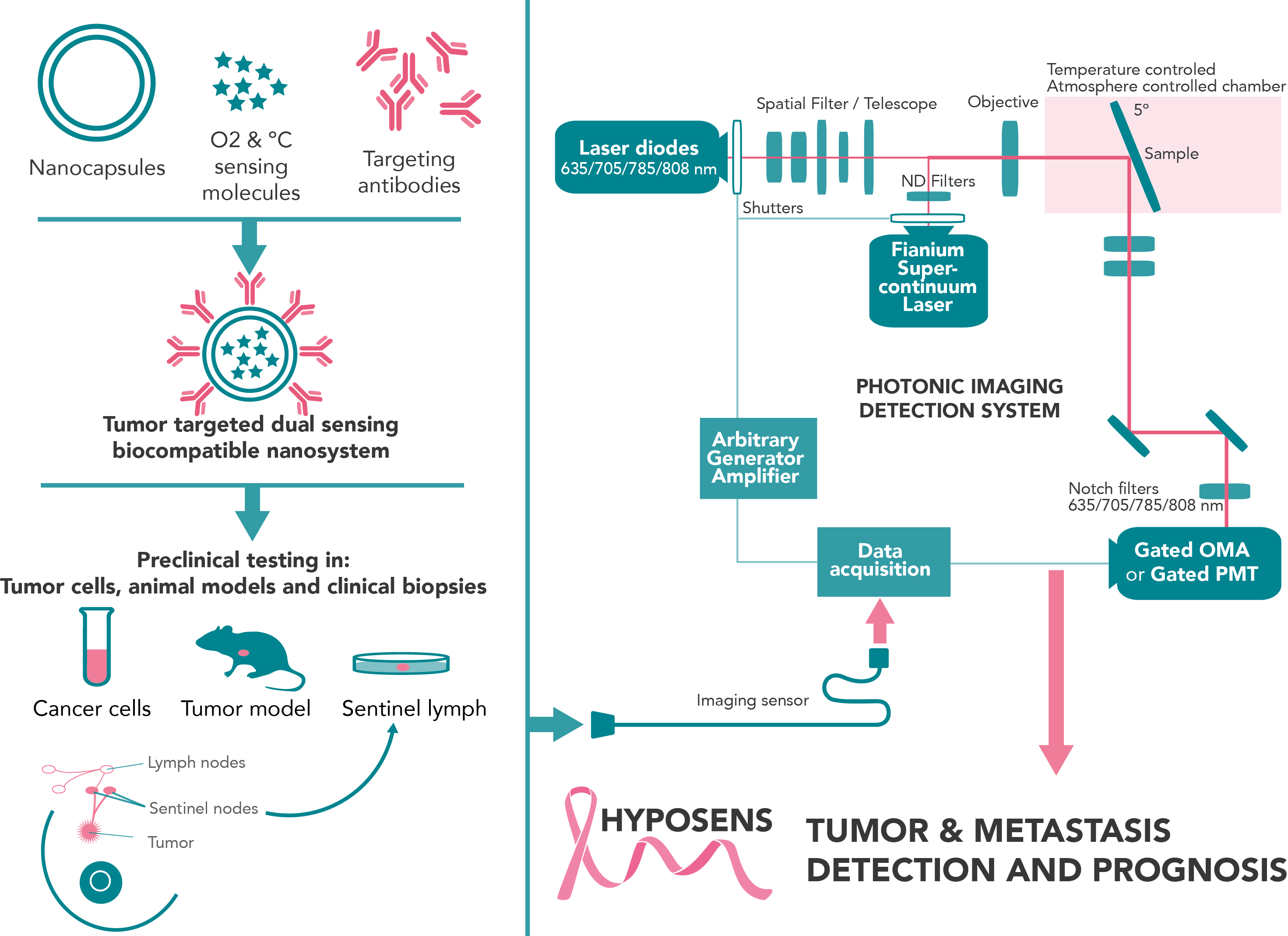 Esquema_Hyposens Hyposens Breast Cancer