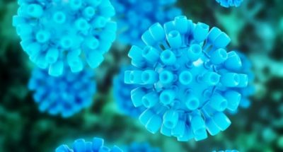 fight against diseases like hepatitis to improve health worldwide