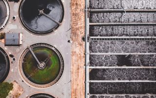 Cleaning wastewater with algae